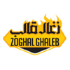 شرکت زغال قالب